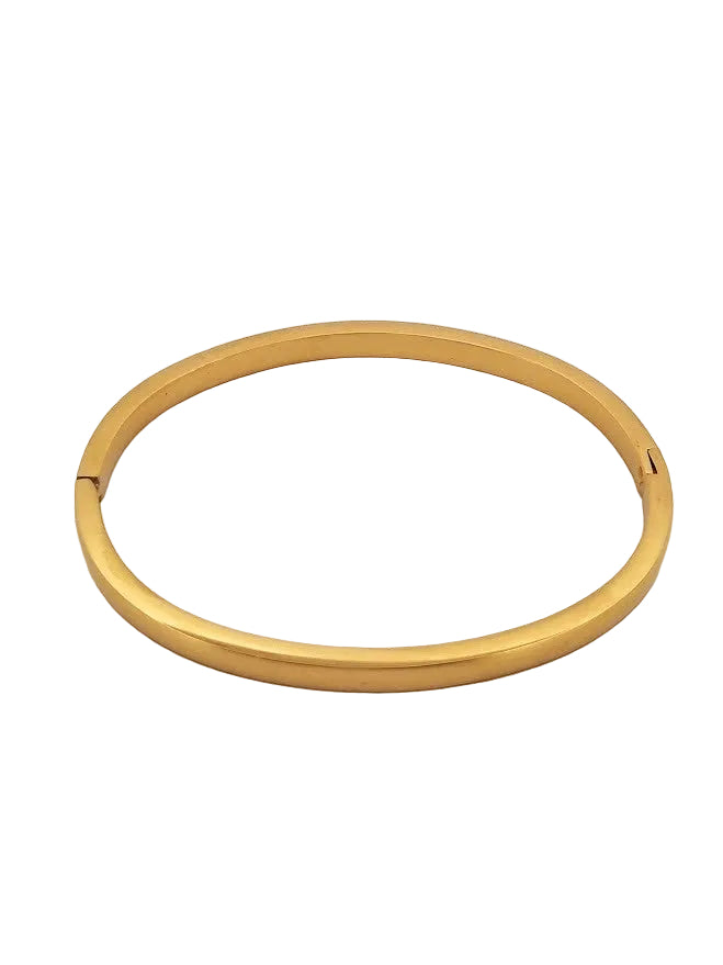 Dam Armring i Stål